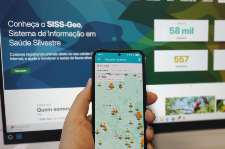 Inteligência georreferenciada mantém Paraná livre de casos locais de febre amarela