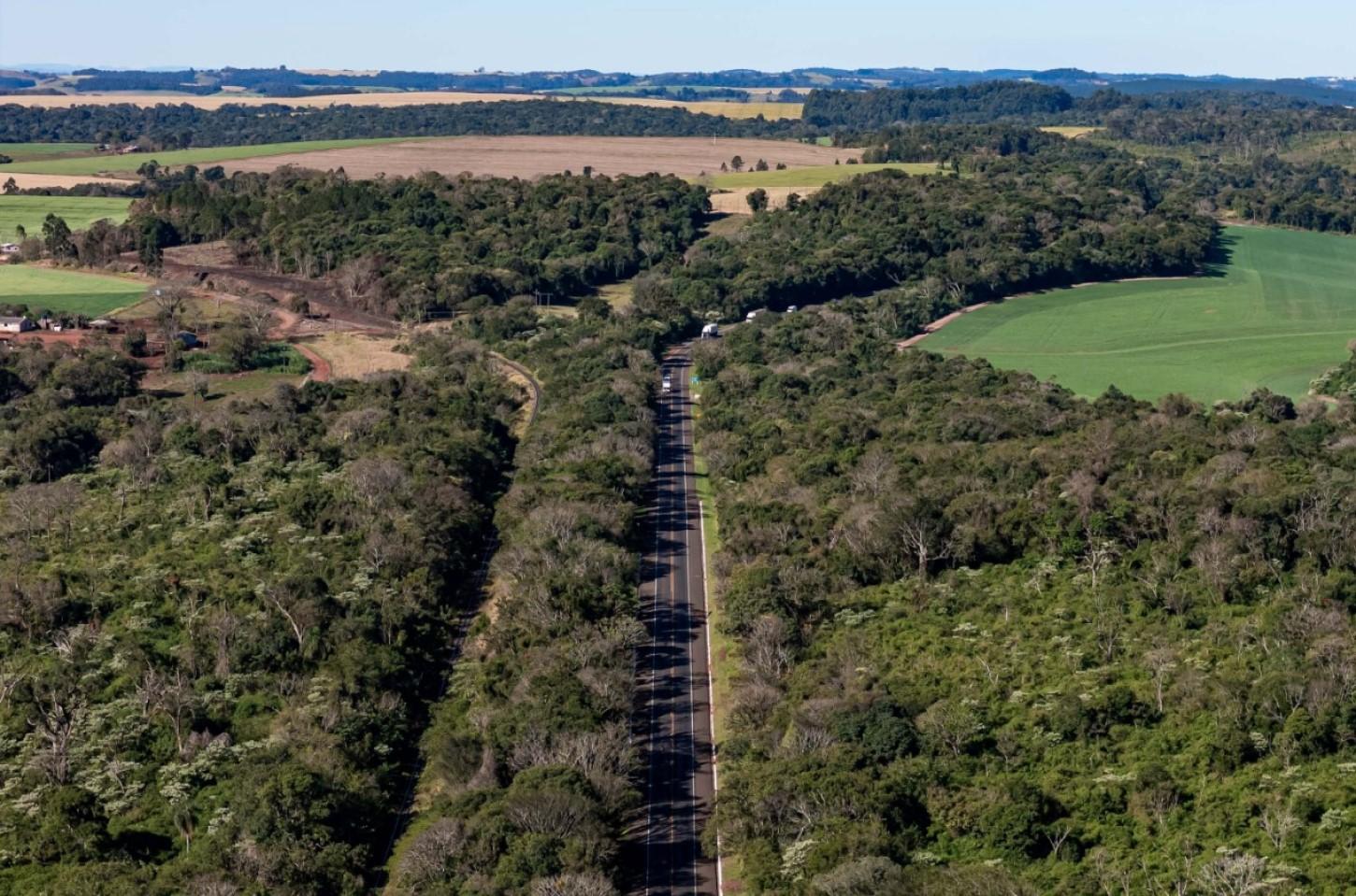 PR: Lote 6 das concessões terá duplicação de Cascavel a Nova Laranjeiras e novos viadutos
