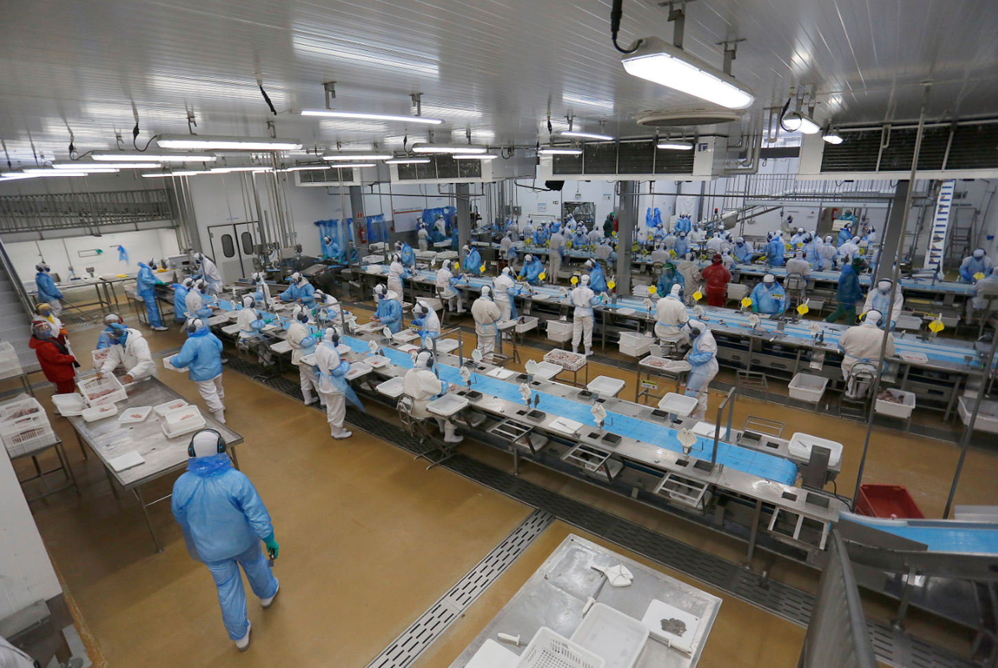 Agências do Trabalhador têm milhares de vagas disponíveis em todas as regiões do Paraná