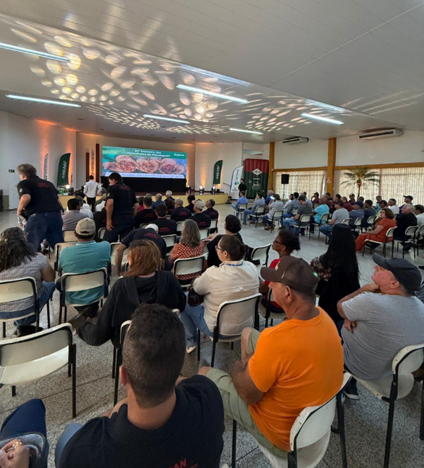 Mandaguari realiza 20º Encontro dos Cafeicultores e reforça protagonismo regional