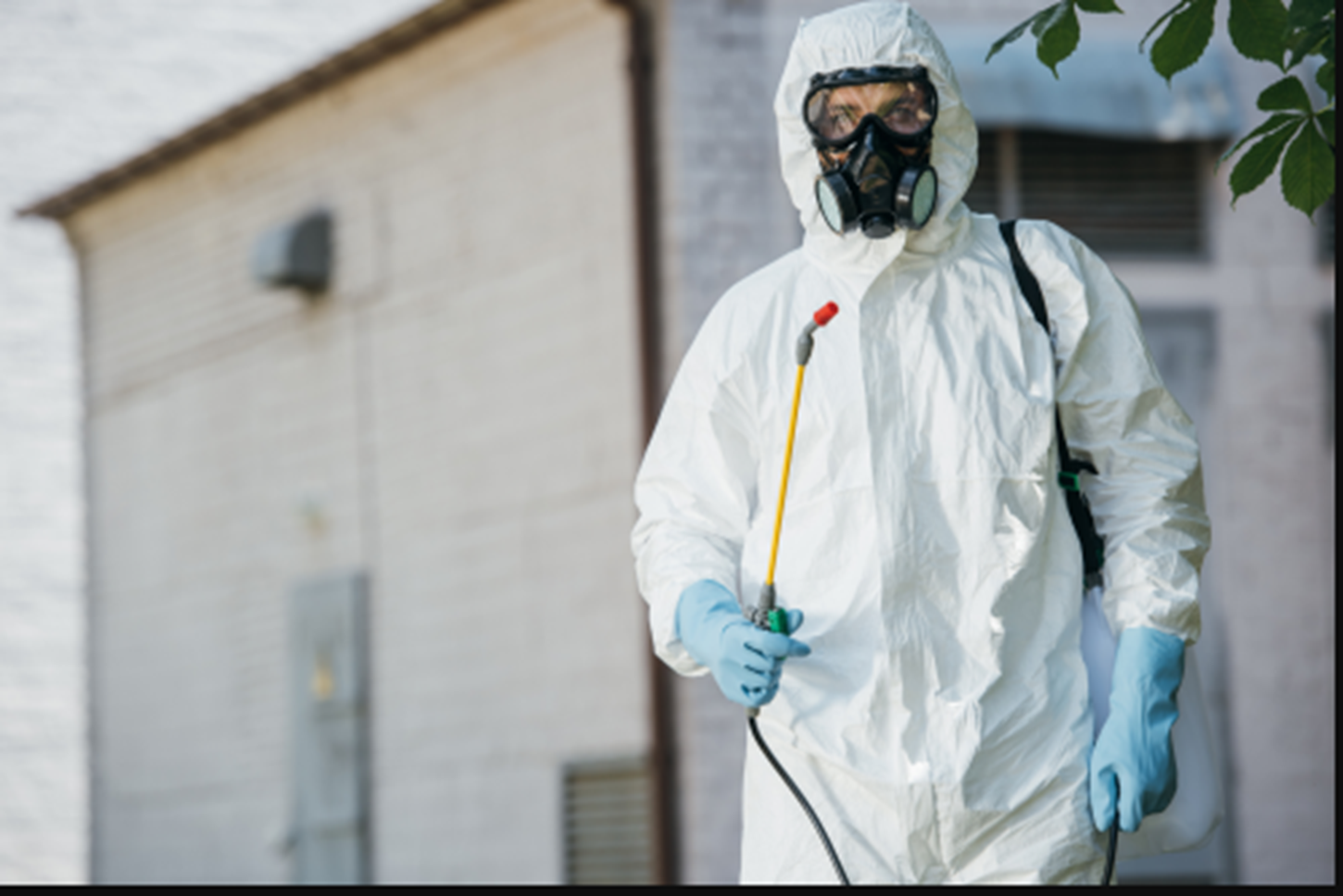 Vigilância Sanitária alerta sobre serviços irregulares de dedetização em Mandaguari