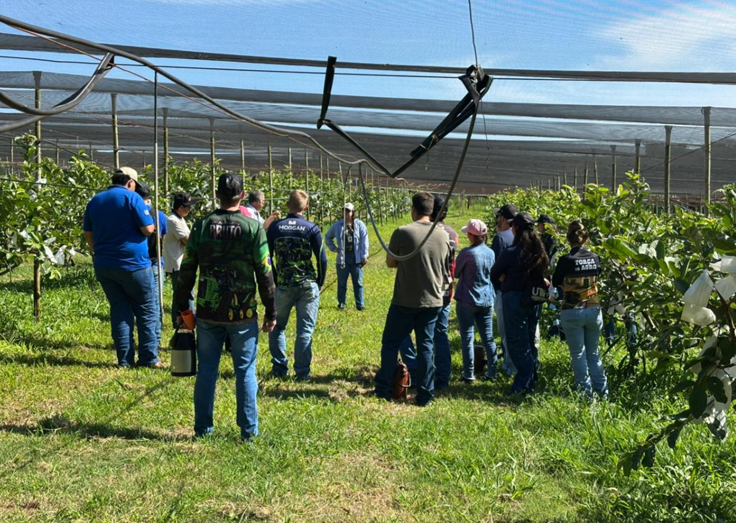 Prefeitura de Marialva recebe estudantes da UTFPR para visita técnica