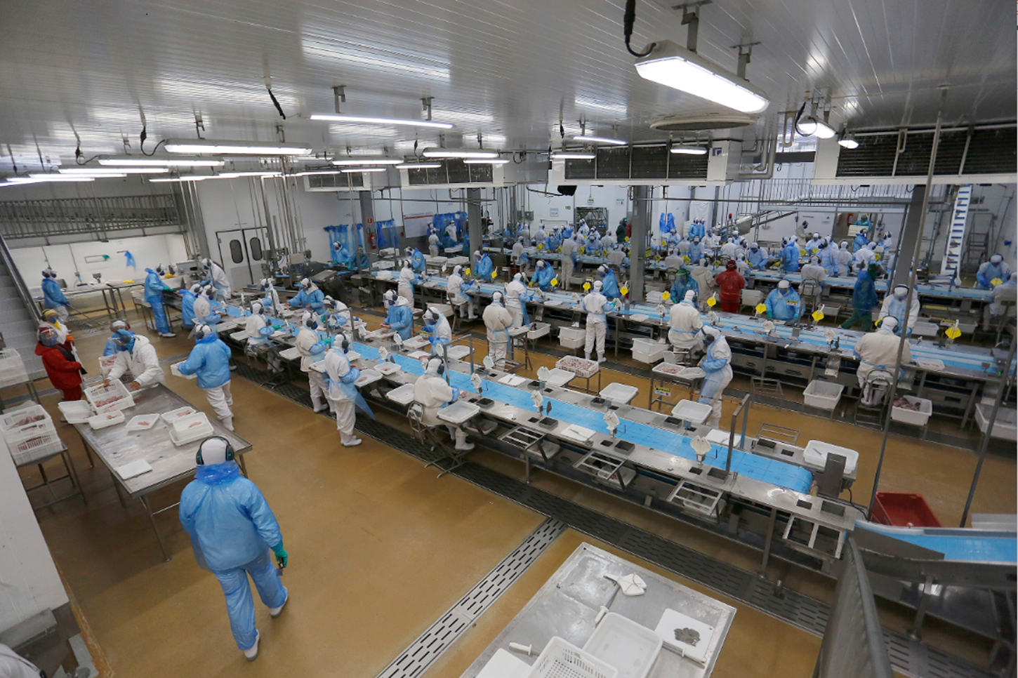 Indústria, comércio, serviços: Paraná começa a semana com milhares de vagas de emprego