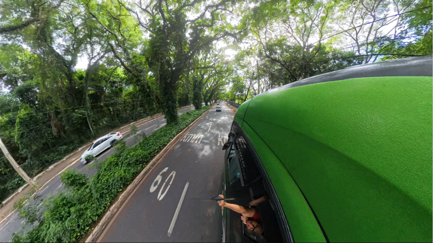 Passeio gratuito promovido pela Prefeitura incentiva conhecimento sobre as árvores do município