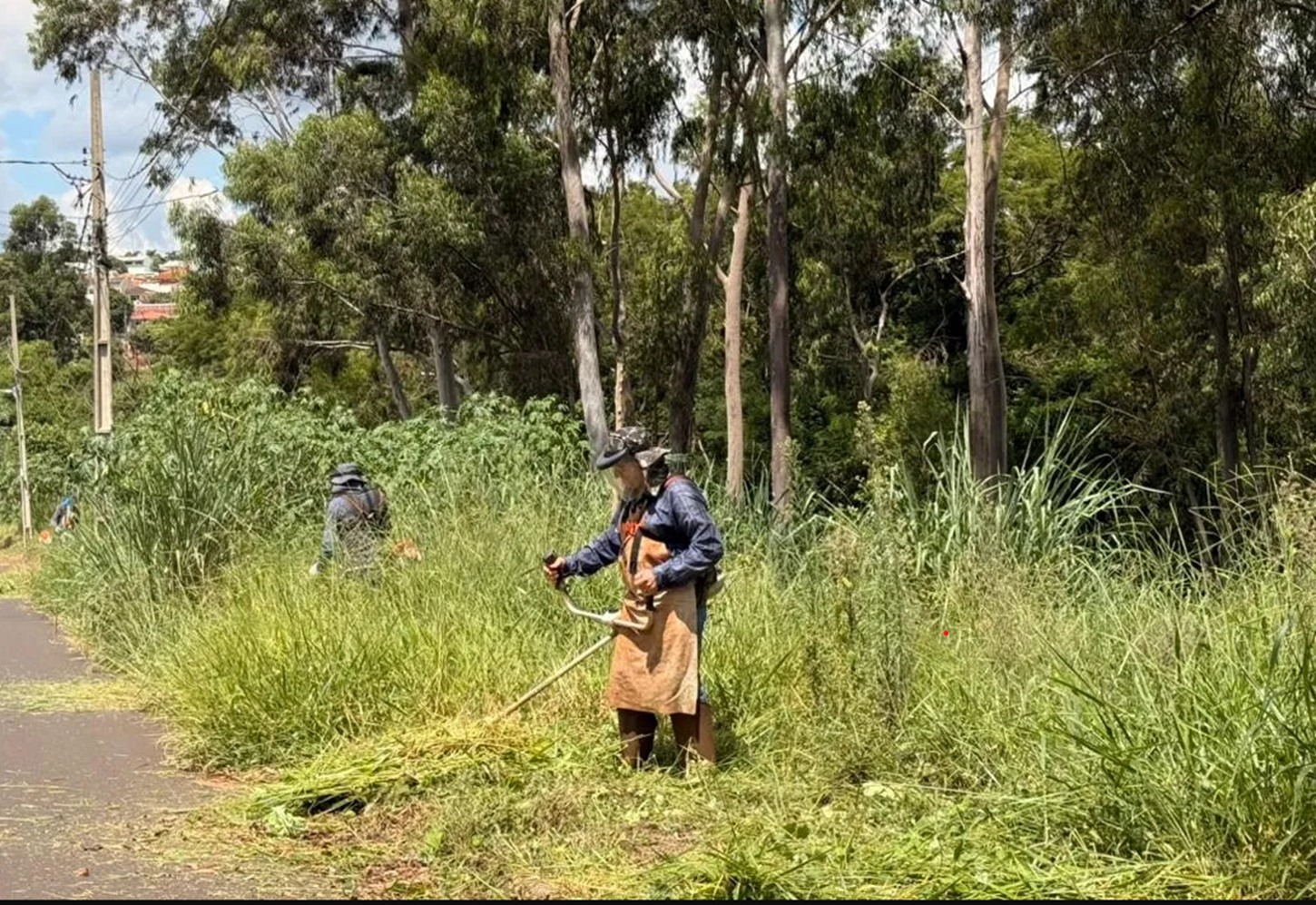 Serviços Públicos segue com agenda de cuidados com a cidade