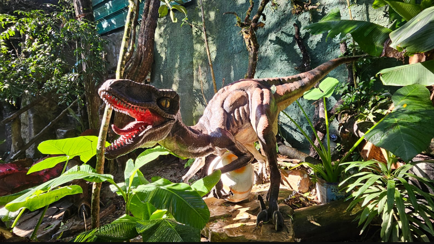 Com réplicas de dinossauros, exposição inédita ‘Jurássico Condor’ transforma passeio pelo Parque do Ingá em aventura pré-histórica