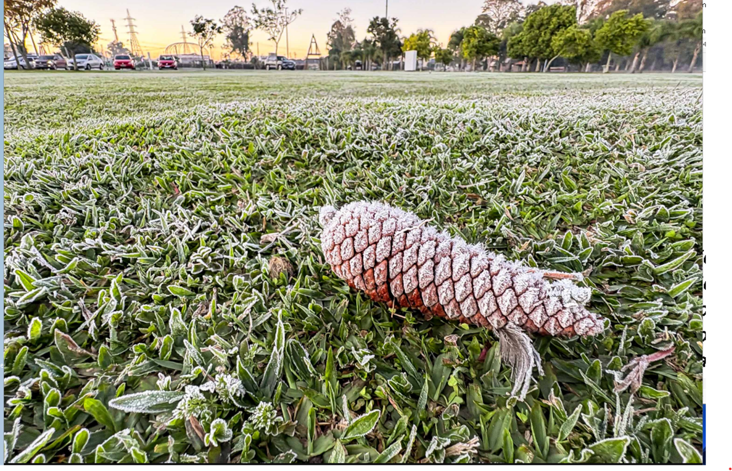Sinais de inverno: maio terá frentes frias, geada e temperaturas abaixo de 10°C