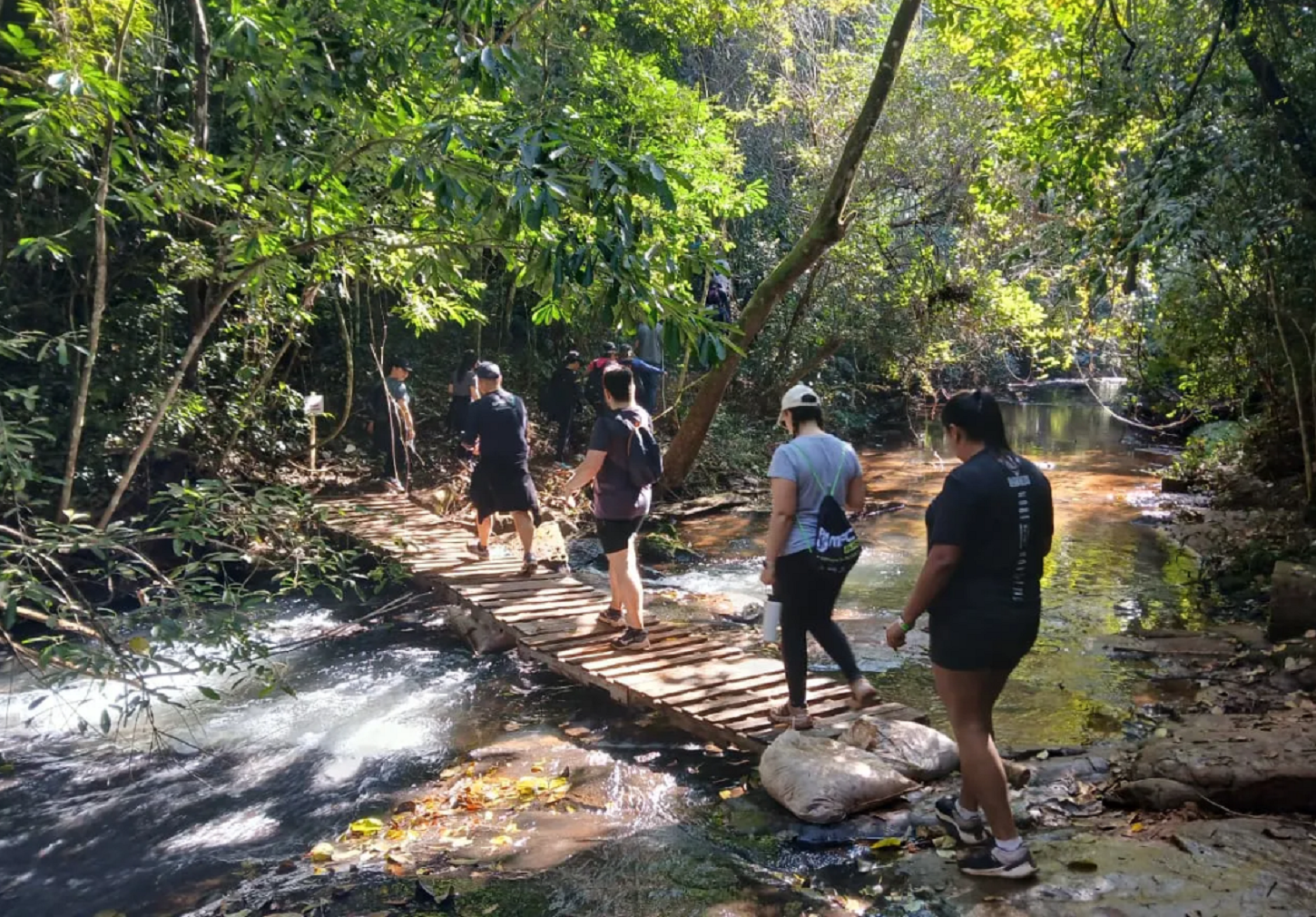 Caminhada na Natureza de Mandaguaçu está com inscrições abertas