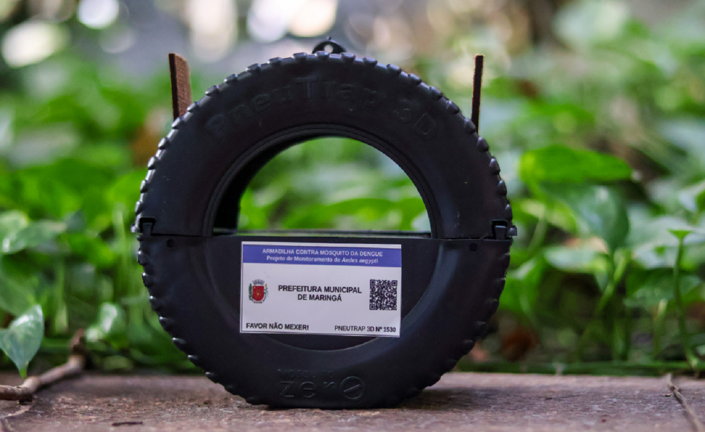 Pneutrap: nova tecnologia no combate à dengue começa a ser instalada pela Prefeitura de Maringá
