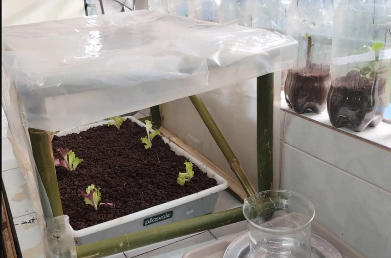 Para desenvolver uma réplica do sistema, o custo médio das peças fica em R$ 141,43. Com espaçamento de 20 centímetros, a estrutura comporta cerca de dez plantas e o sistema pode ser ampliado conforme a necessidade. Foto Sivulgação.