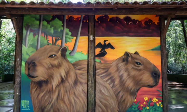 Com seis painéis artísticos, iniciativa busca aproximar os visitantes da riqueza natural de Maringá