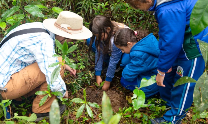Dia do Educador Ambiental: Cidadão Sustentável leva formação a 119 municípios do Paraná