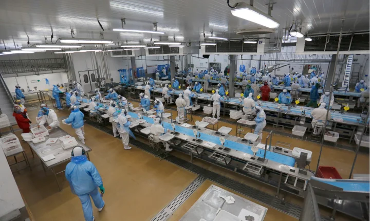 Indústria, comércio, serviços: Paraná começa a semana com milhares de vagas de emprego