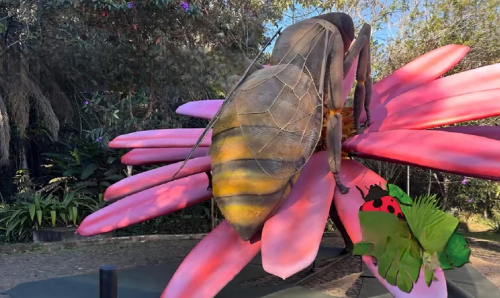 Parque do Ingá recebe a exposição ‘Primavera Encantada- Natureza Gigante’ a partir de 25 de setembro