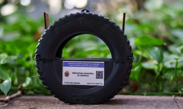 Pneutrap: nova tecnologia no combate à dengue começa a ser instalada pela Prefeitura de Maringá