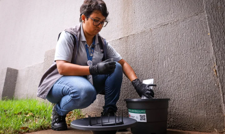 Prefeitura instala primeiras Estações Disseminadoras de Larvicida em Maringá para combate à dengue