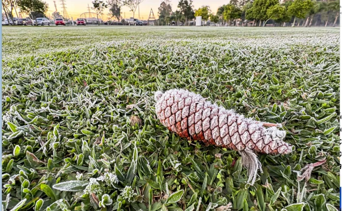 Sinais de inverno: maio terá frentes frias, geada e temperaturas abaixo de 10°C